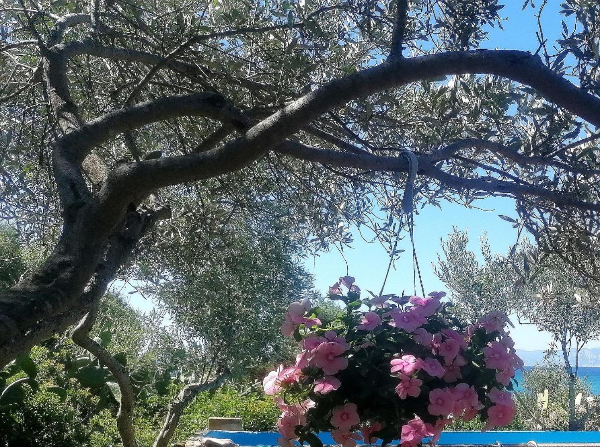 Splendida In Riva Al Mare Villa