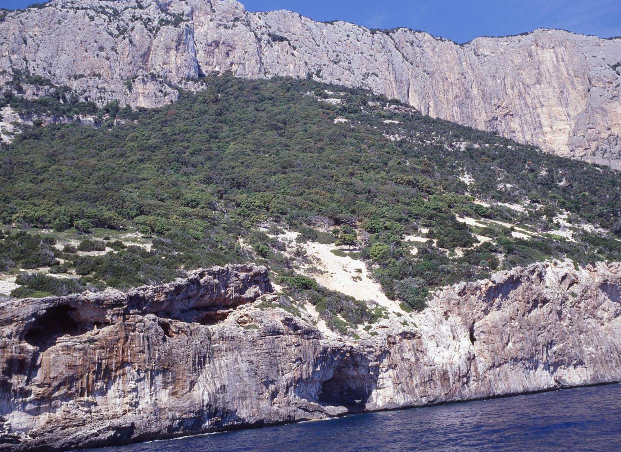 Splendida In Riva Al Mare Villa Orosei