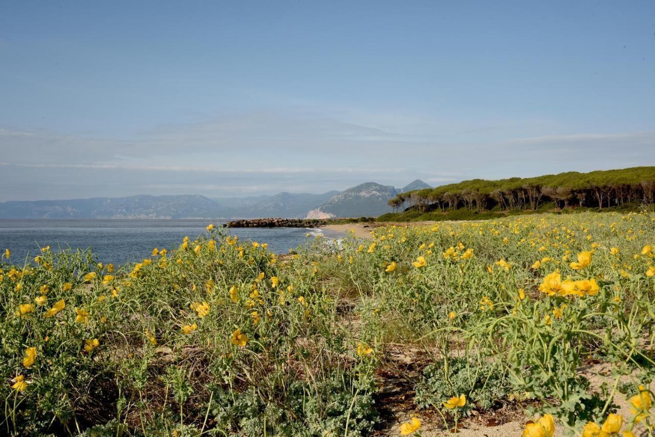 Villa Splendida In Riva Al Mare